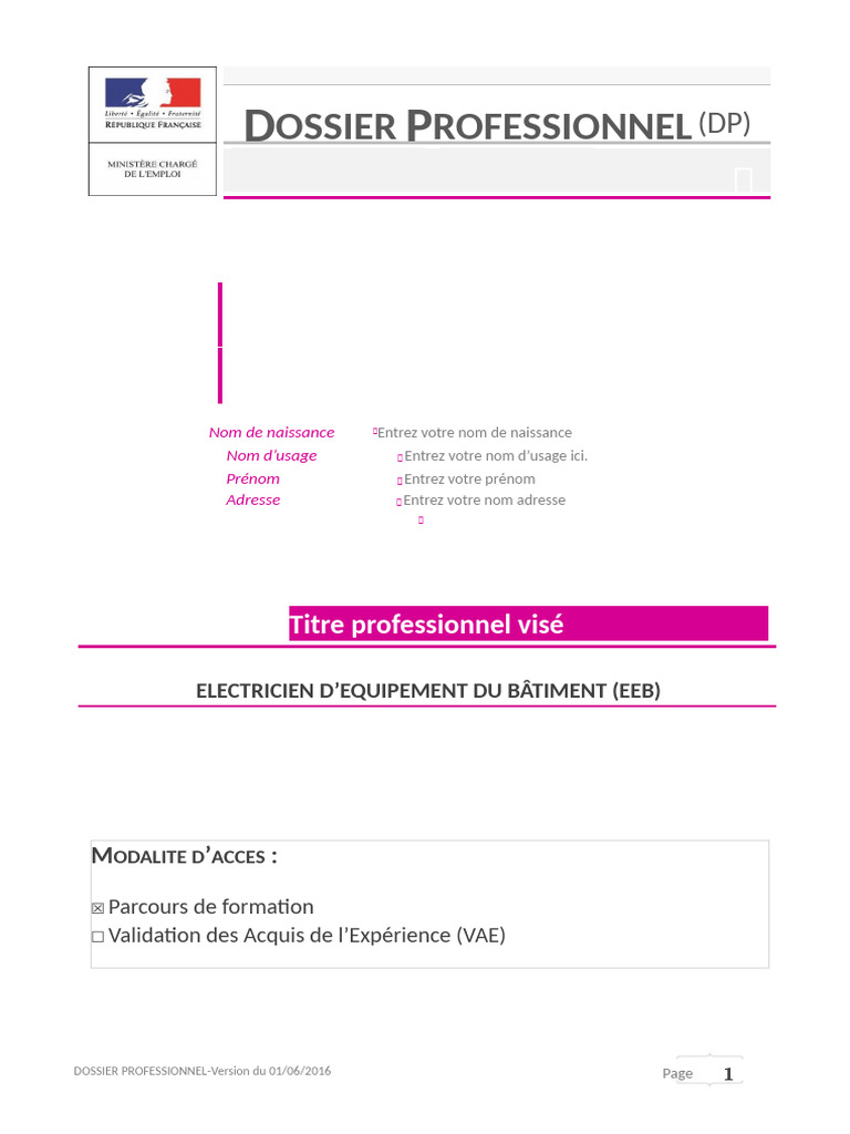 Dossier Professionnel Modele | PDF