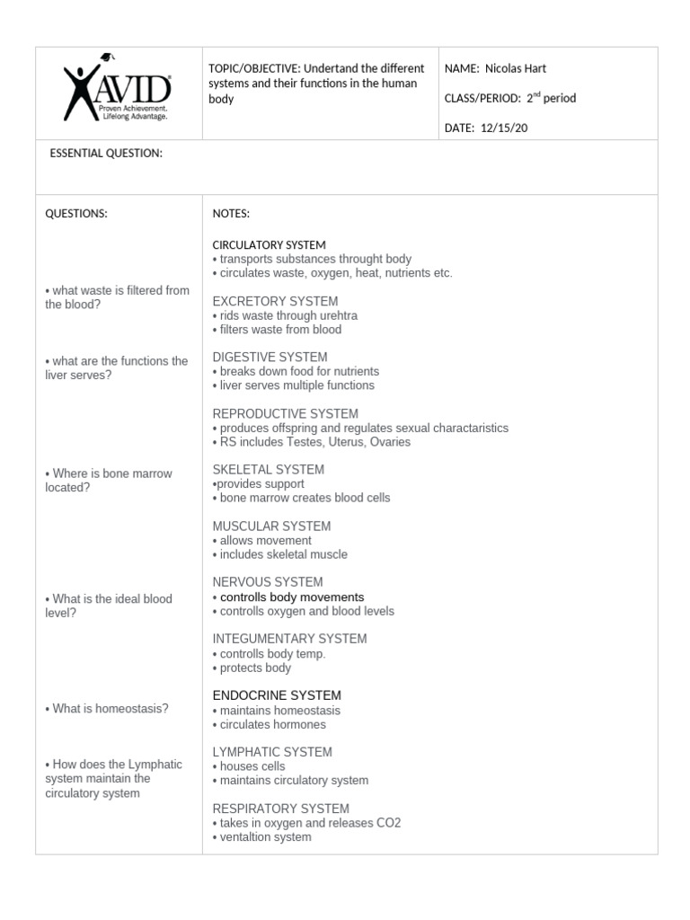 Human Body Systems Cornell Notes NHart | PDF | Human Body | Circulatory ...