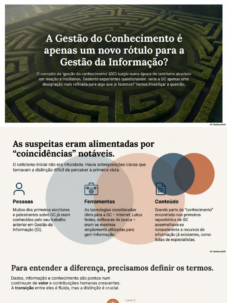 Conhecimento e Informação Diferenças Essenciais | PDF