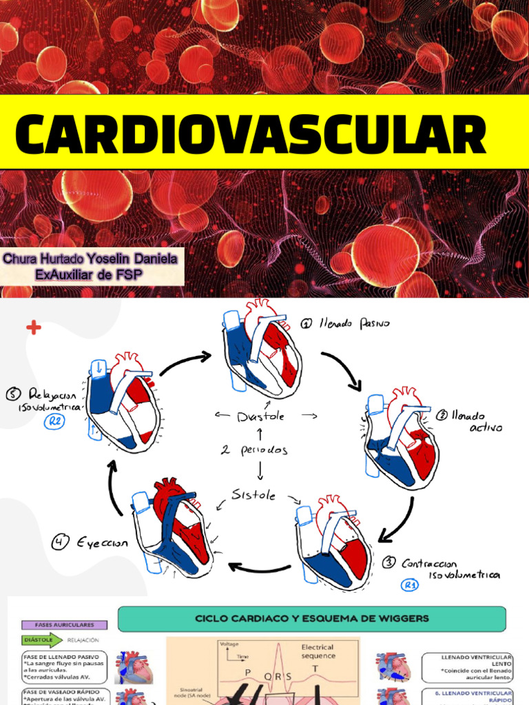 Formulas Cardiovascular | PDF