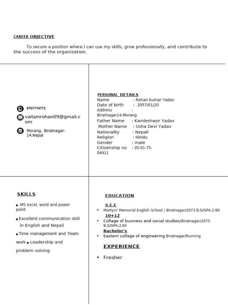CV 1 | PDF