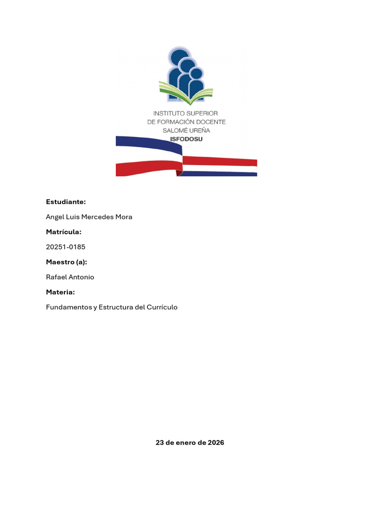 Informe sobre la realización del panel de expertos | PDF | Enseñando ...