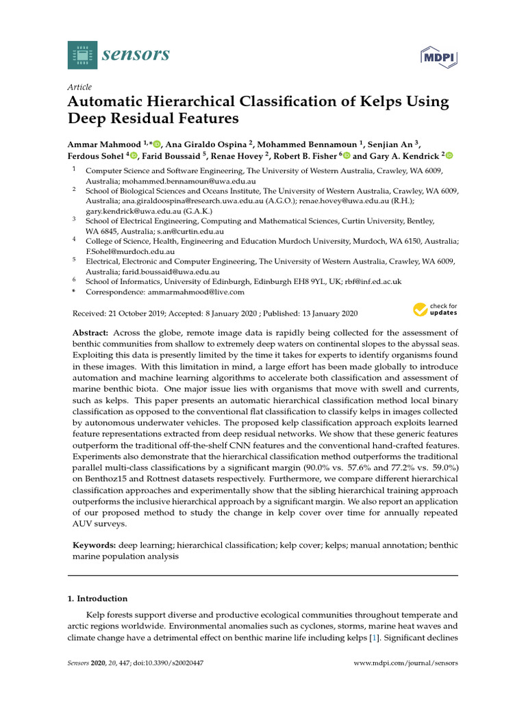 Automatic Hierarchical Classification of Kelps Usi | PDF
