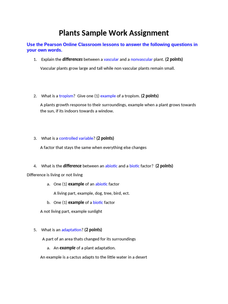 Plants Sample Work Assignment | PDF