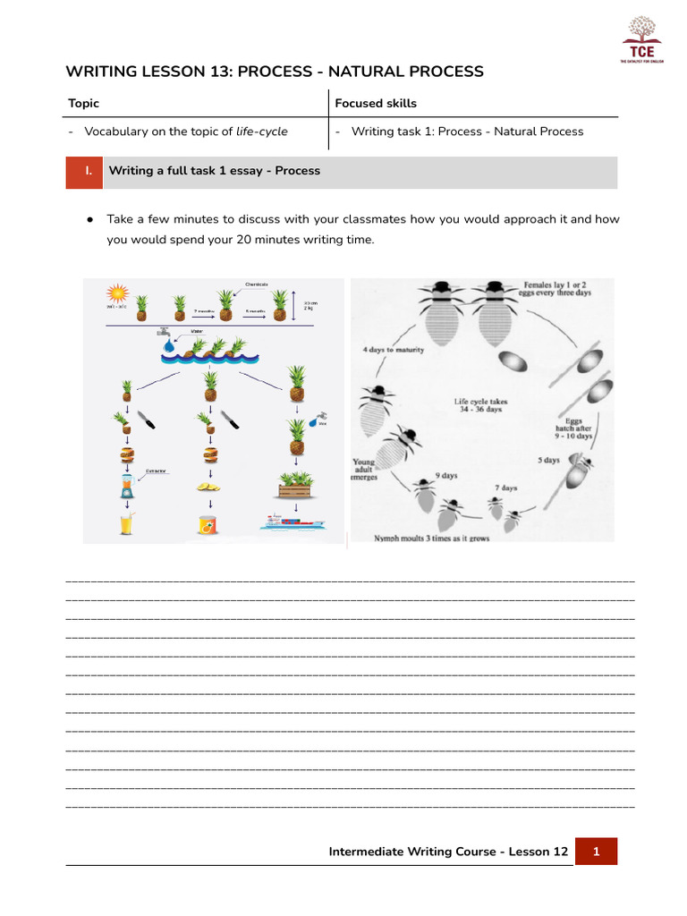 (Handout) Natural Process | PDF | Verb | Adjective