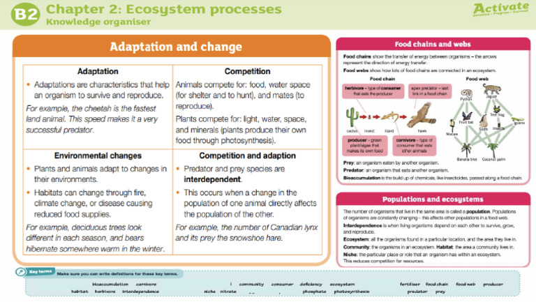 Ecosystems | PDF