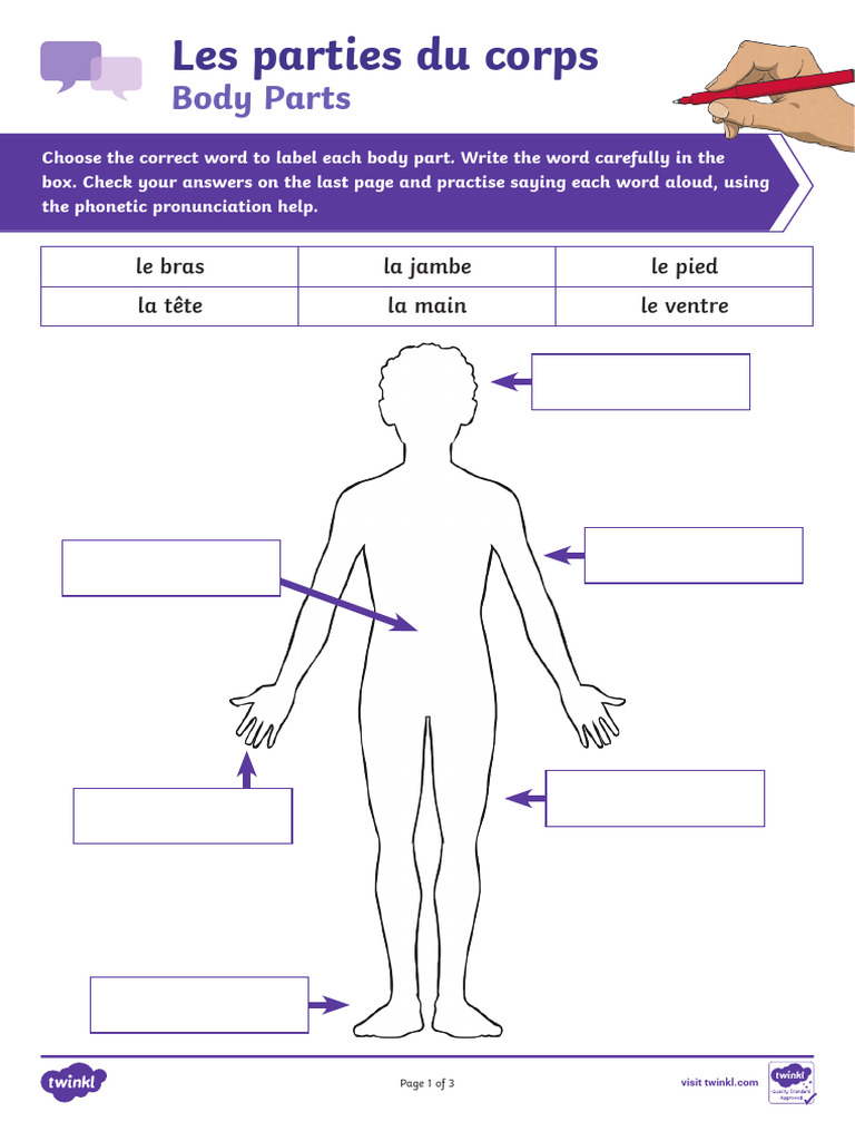 French Body Parts Labelling Activity | PDF