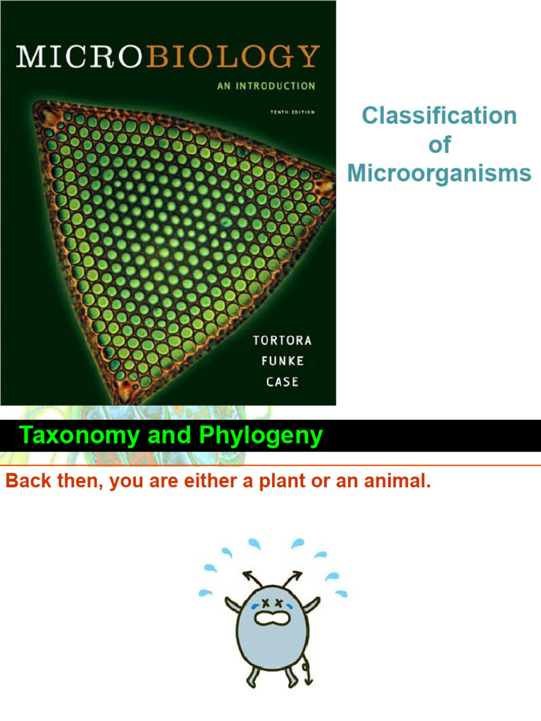 Classification of Microorganisms | PDF | Bacteria | Dna