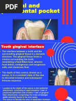 Classification of Periodontal Pockets | PDF | Periodontology | Epithelium