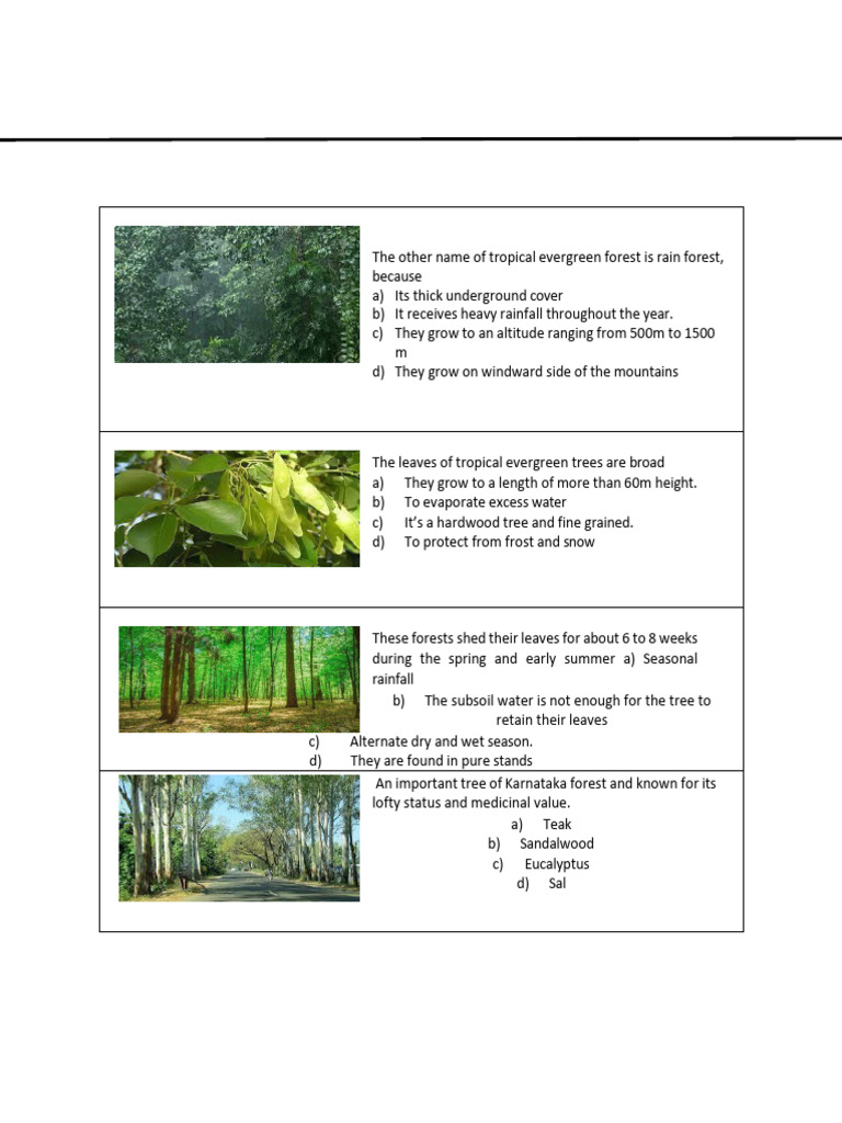 04 MCQ Set Vi On Natural Vegetation | PDF | Forests | Trees