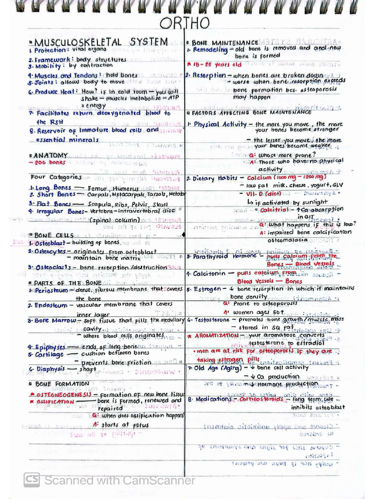 Ortho Tru Notes | PDF