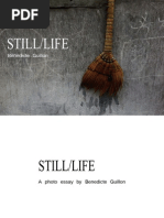 Download Still Life by Benedicte Guillon SN101518066 doc pdf