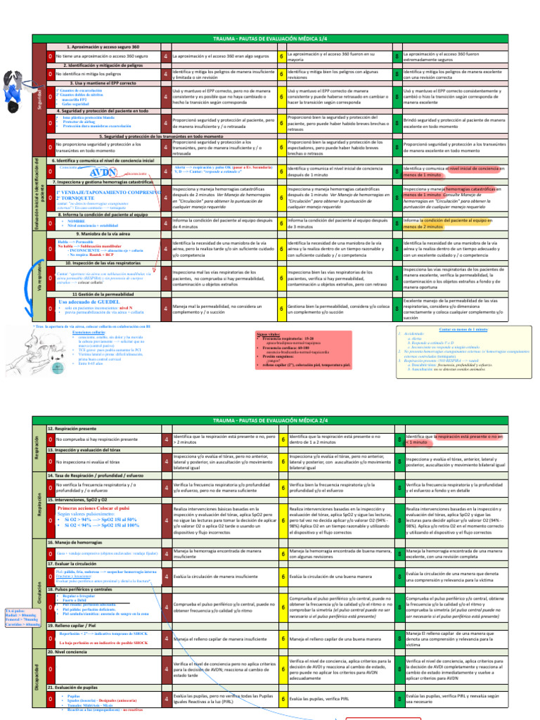 2024 WRO Guias para Evaluacion de TRAUMA | PDF | Cerebro | Terapia