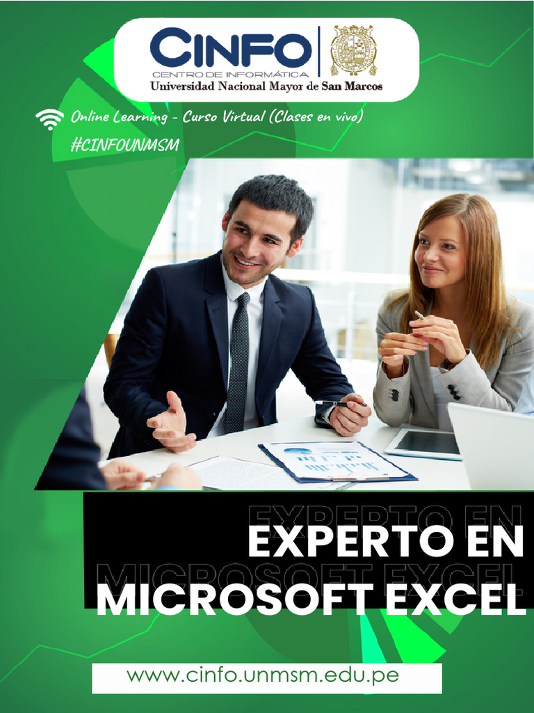 Brochure Excel 2026 Unmsm | PDF | Microsoft Excel | Informática