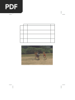 NAPFA Primary Standards for Boys and Girls | PDF | Physical Exercise ...