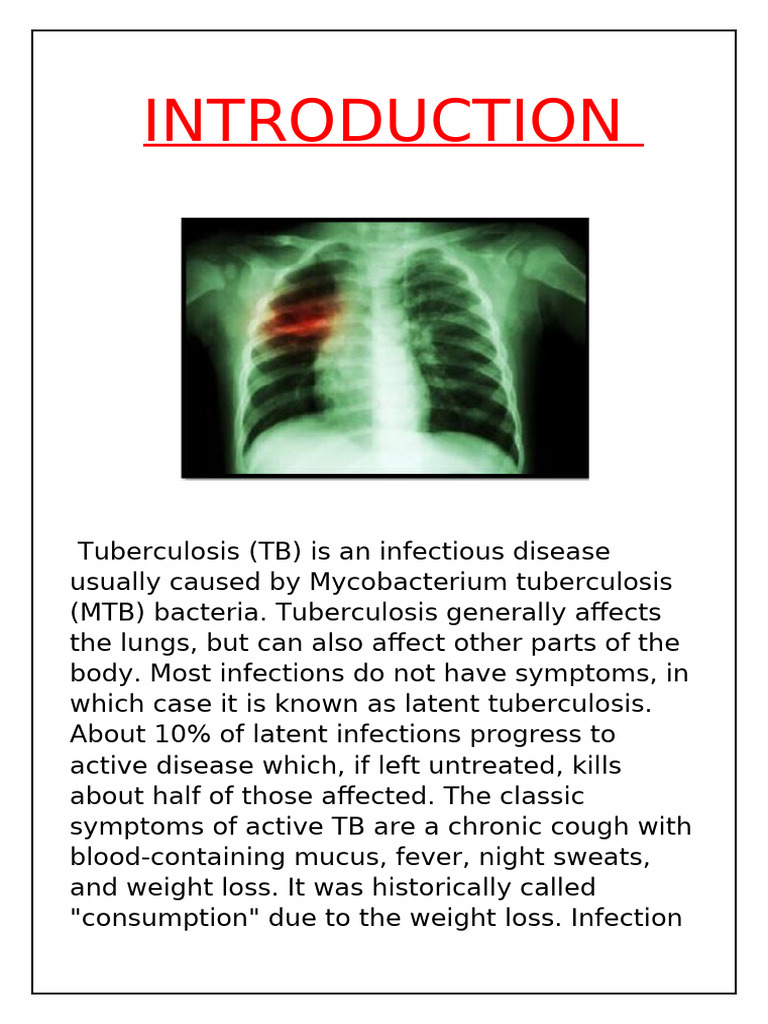Bio Investory Project On Tuberculosis | PDF | Tuberculosis | Infection