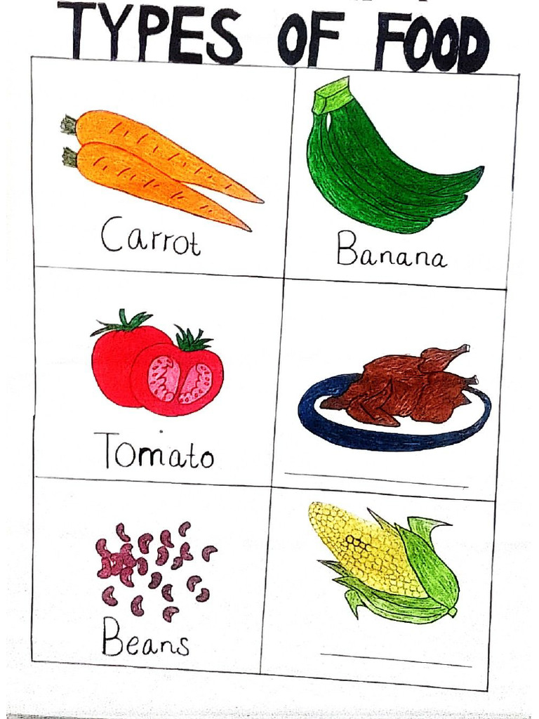 Types of Food | PDF