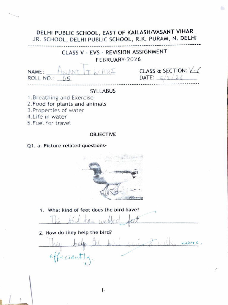 Evs Assignment | PDF