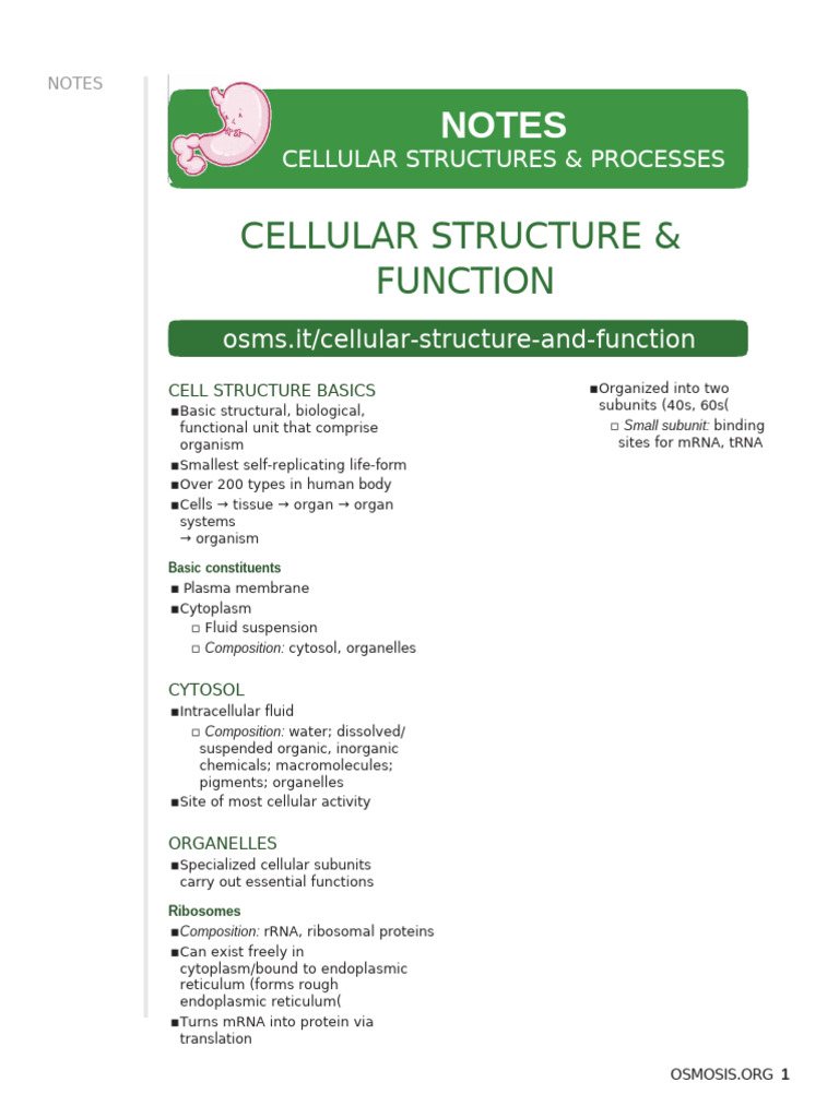 Cellular Structures and Processes | PDF | Cell Signaling | Endoplasmic ...