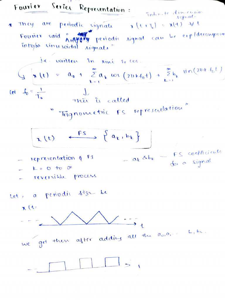 Ness Notes Until Quiz 1 | PDF