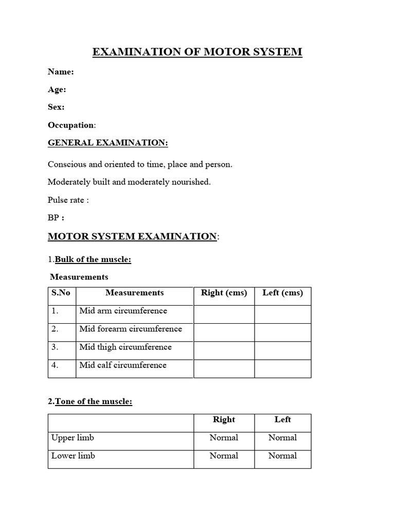Examination of Motor System | PDF | Anatomical Terms Of Motion | Human Leg