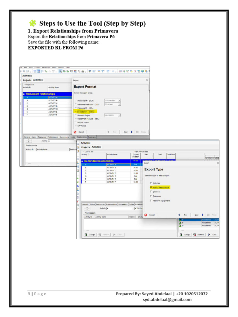 Primavera P6 Export Relationship | PDF | Computing
