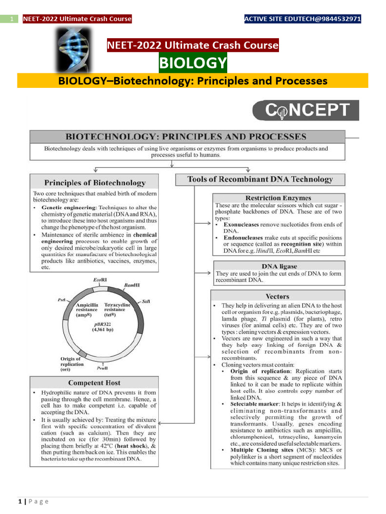 Biotechnology Principles and Processes | PDF | Molecular Cloning ...