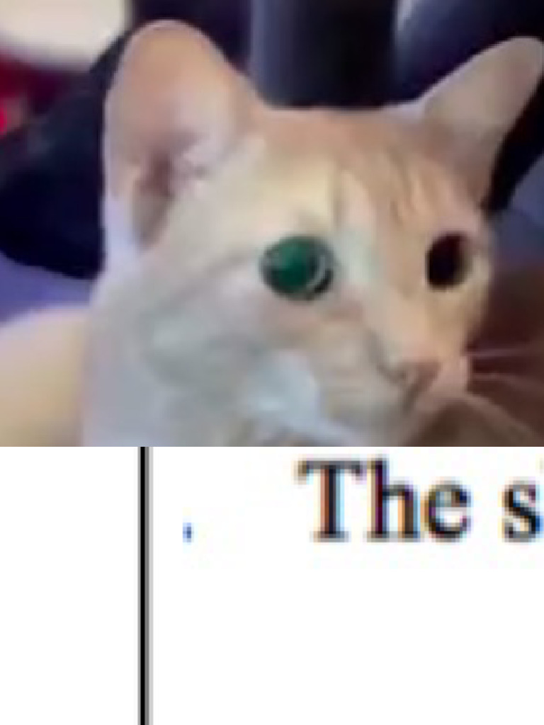 Le Cat Hat | PDF