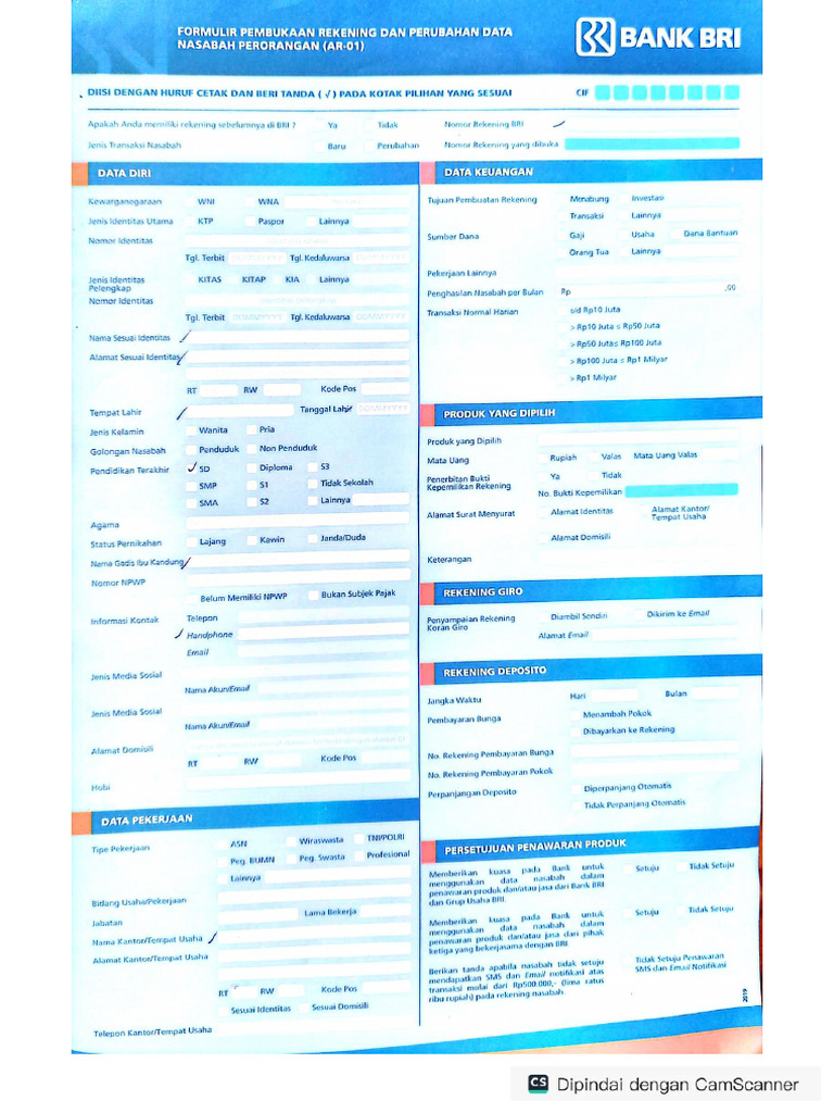 Form BRI | PDF