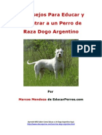 4 Consejos para Educar y Adiestrar A Un Perro de Raza Dogo Argentino