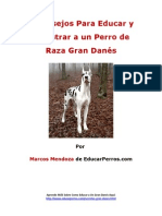 4 Consejos para Educar y Adiestrar A Un Perro de Raza Gran Danés