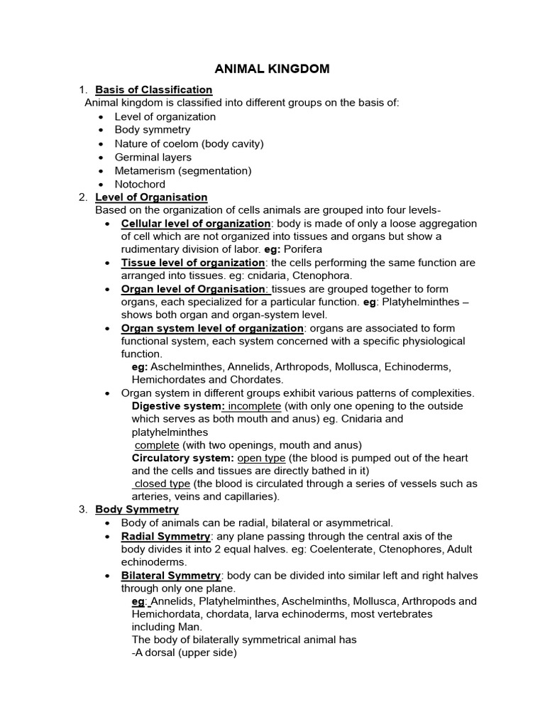 Animal Kingdom Typed Notes | PDF | Vertebrates | Sponge