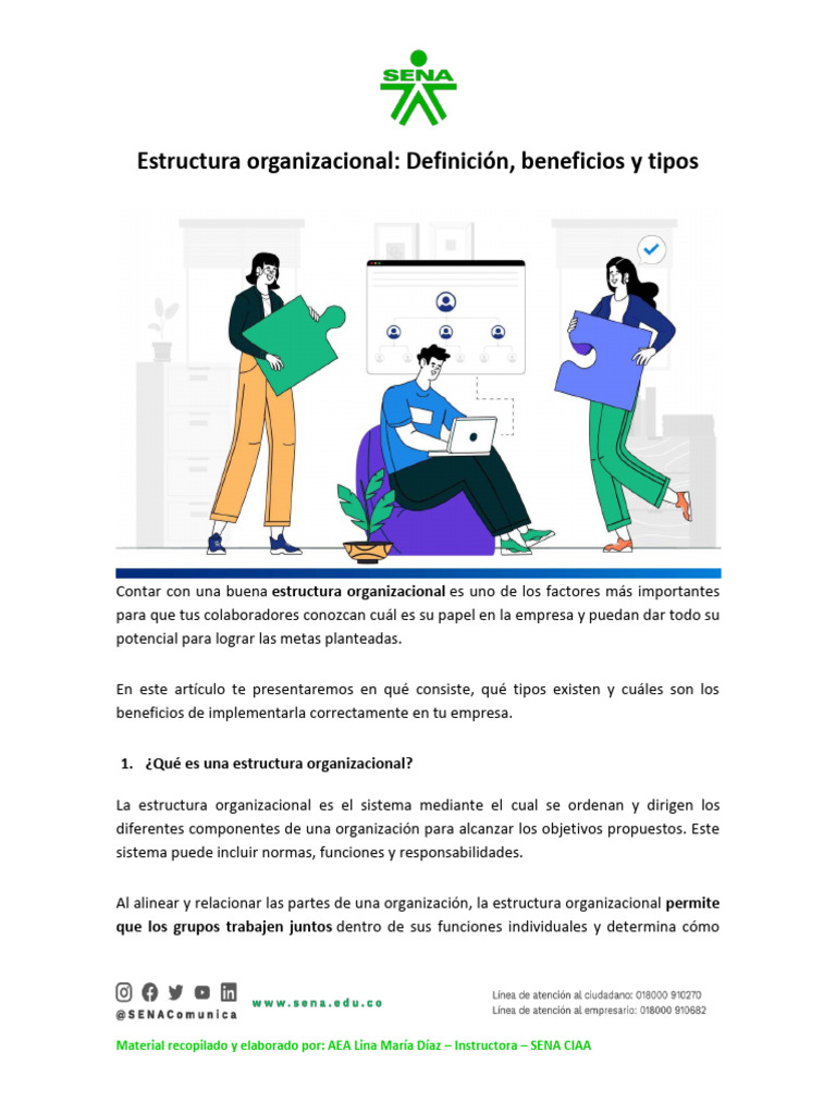Estructura Organizacional Definición, Beneficios y Tipos | PDF