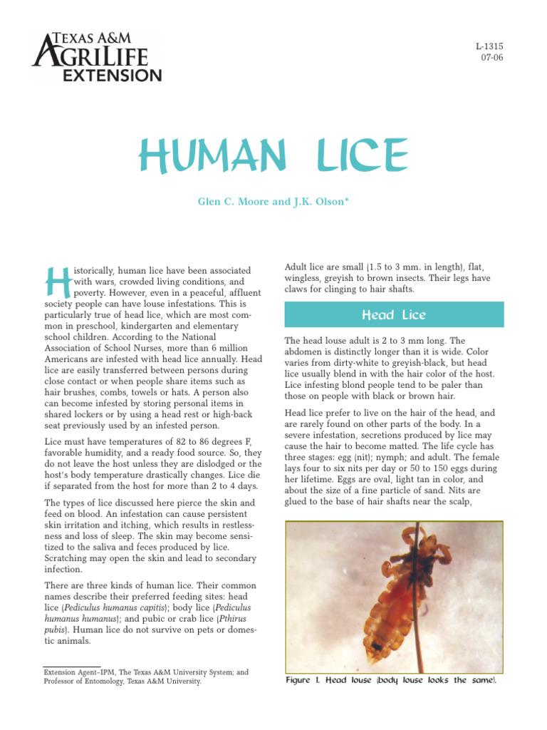 Human Lice | PDF