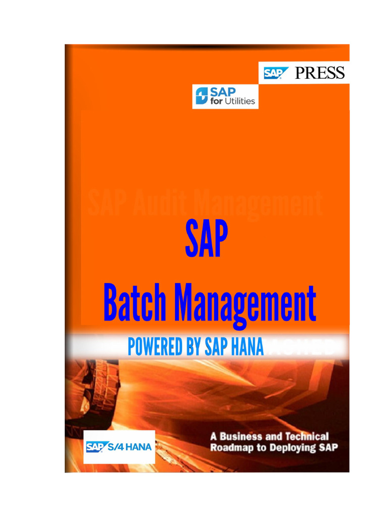 Batch Management | PDF | Function (Mathematics) | Information