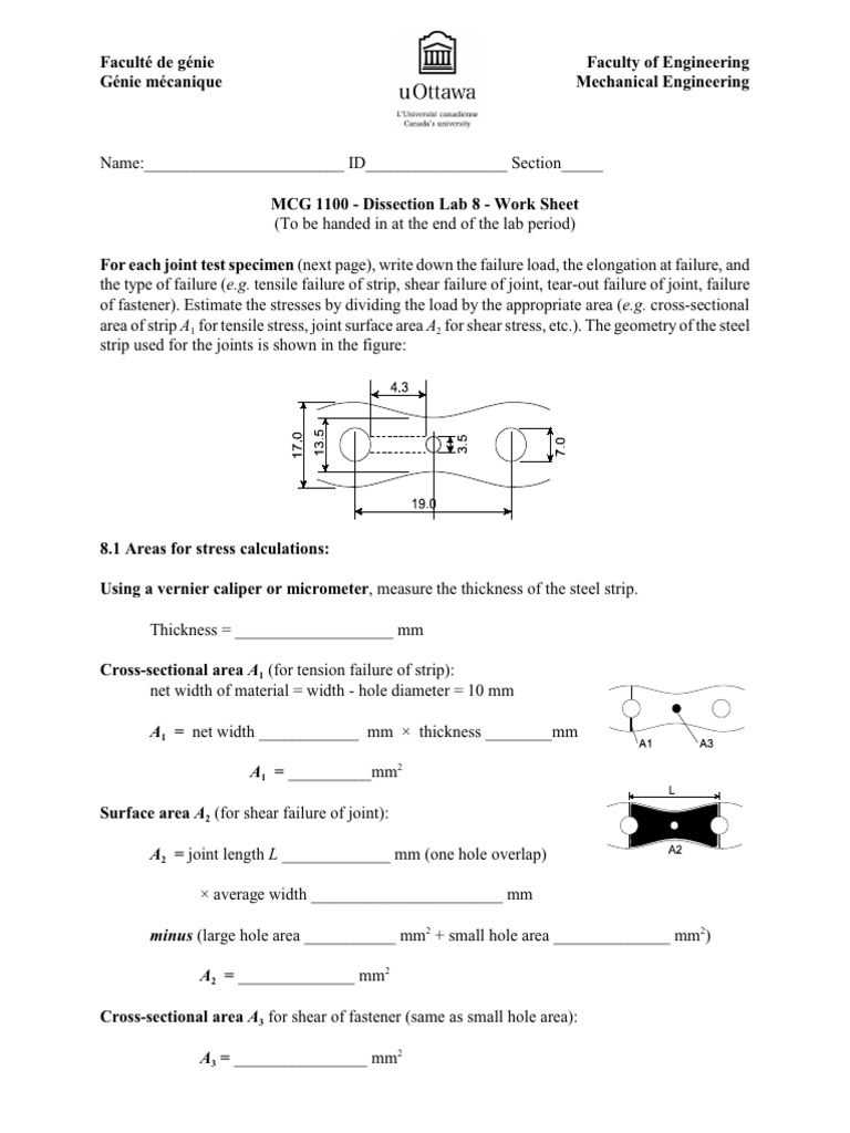 1100 Dissection Lab 8 Worksheet | PDF | Stress (Mechanics) | Screw