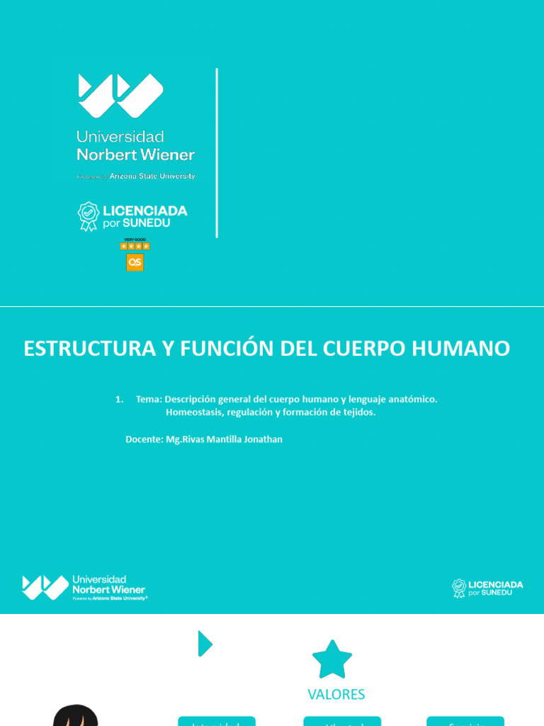 Sesion 1 Estructura y Funcion Del Cuerpo Humano | PDF | Vértebra | Hueso