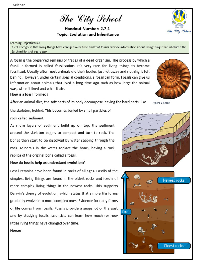 Class 4 Science Handouts | PDF | Series And Parallel Circuits | Heat ...