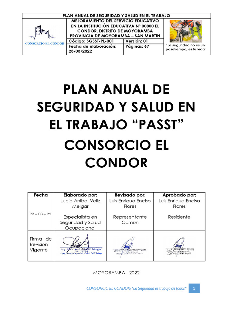 Plan Anual de Seguridad y Salud en El Trabajo - Condor (1) | PDF ...