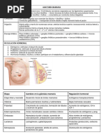 Clasificación ACR y BI-RADS en Mamografía | PDF | Mamografía | Pecho