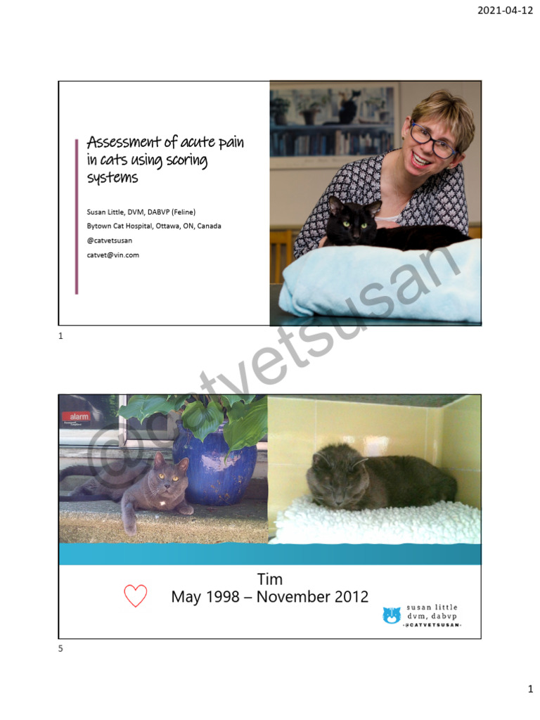 Assessment of Acute Pain in Cats 2021 New | PDF