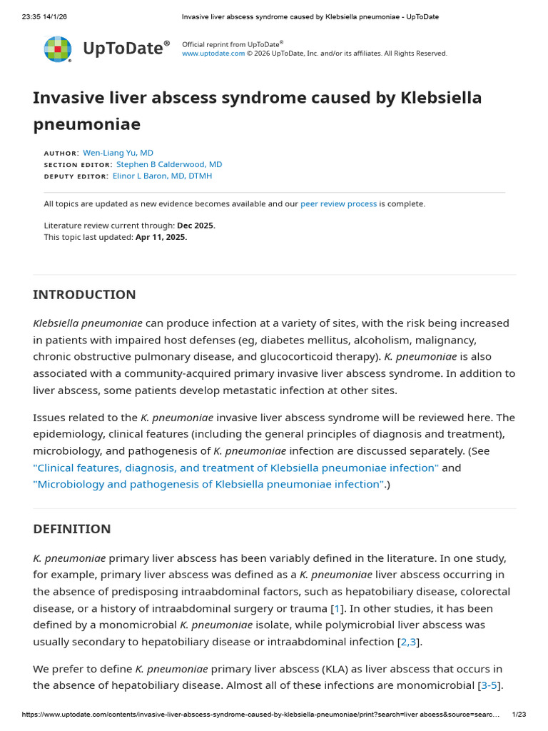 Invasive Liver Abscess Syndrome Caused by Klebsiella Pneumoniae ...