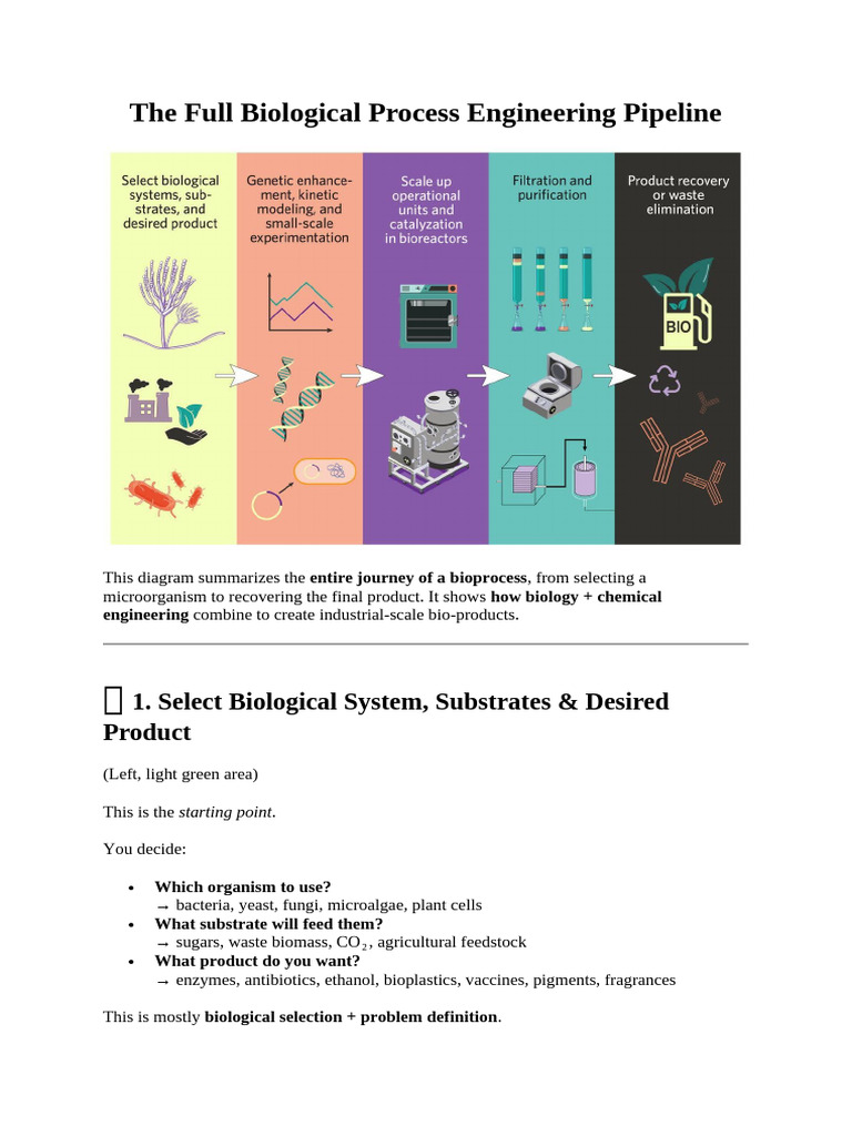 Juorny of Bio-Process Eng | PDF | Biotechnology | Chemistry