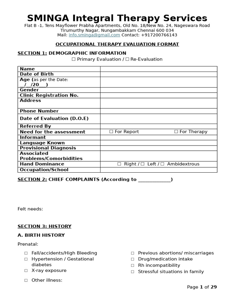 SMINGA OT Assessment Form | PDF