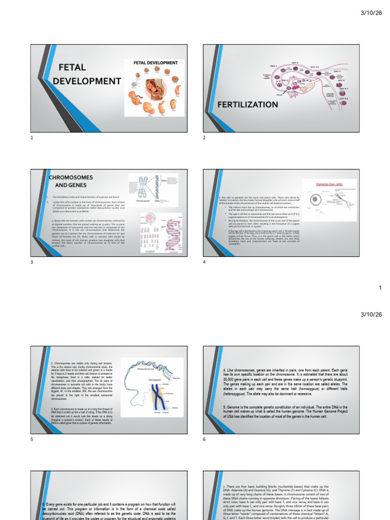 Fetal Development Lecture - Complete | PDF | Sperm | Fertilisation