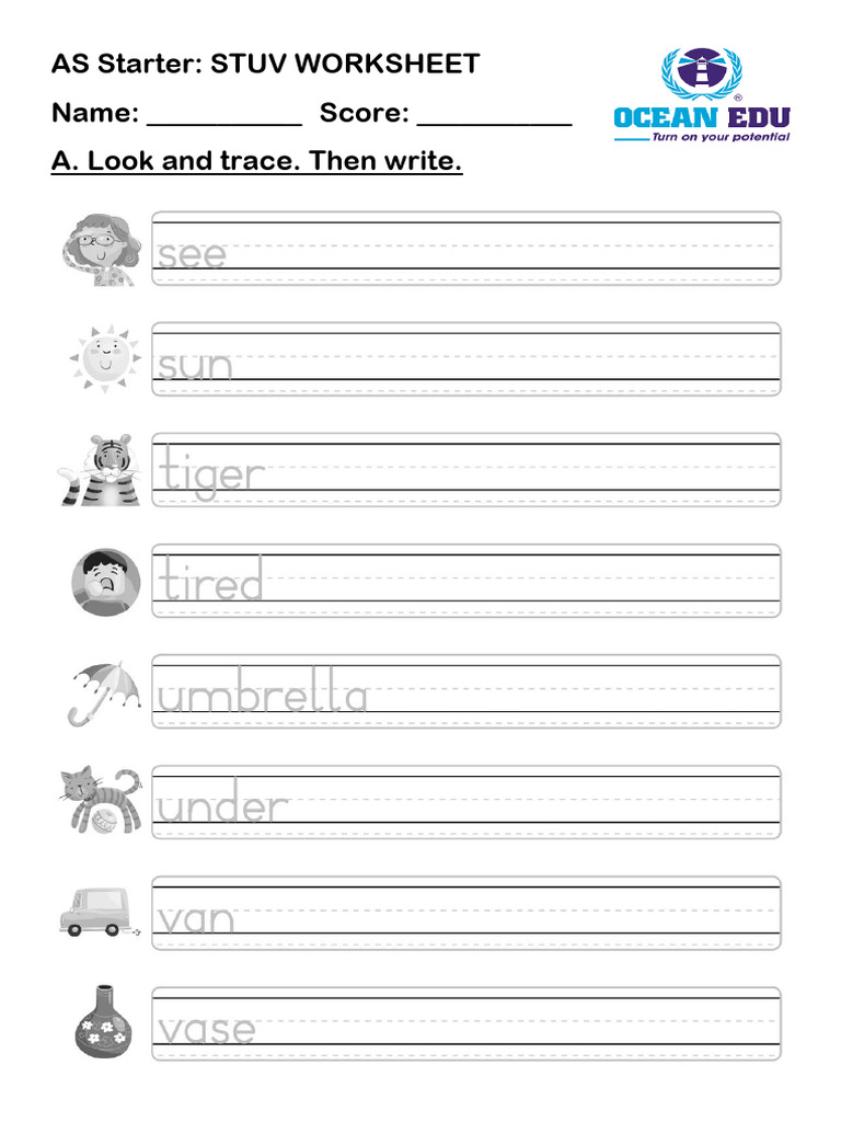 As Starter Stuv Ws | PDF