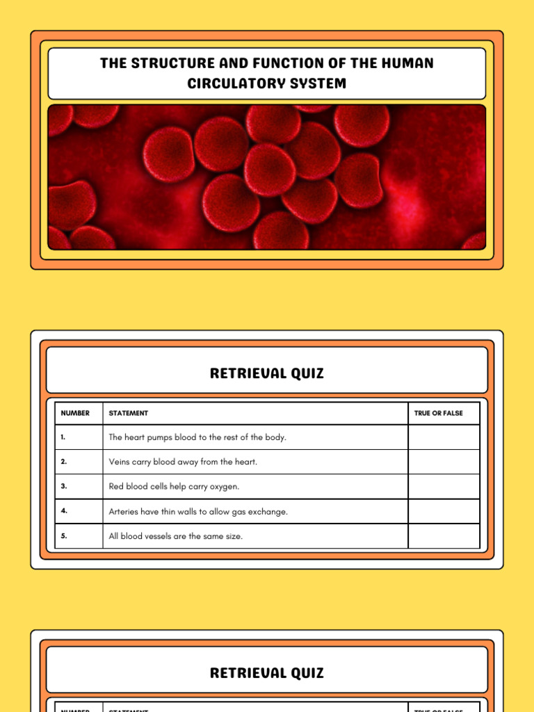 Structure and Function of The Circulatory System Lesson Presentation in ...
