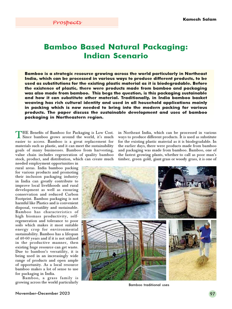 20 Bamboo Based Natural Packaging | PDF | Bamboo | Plastic