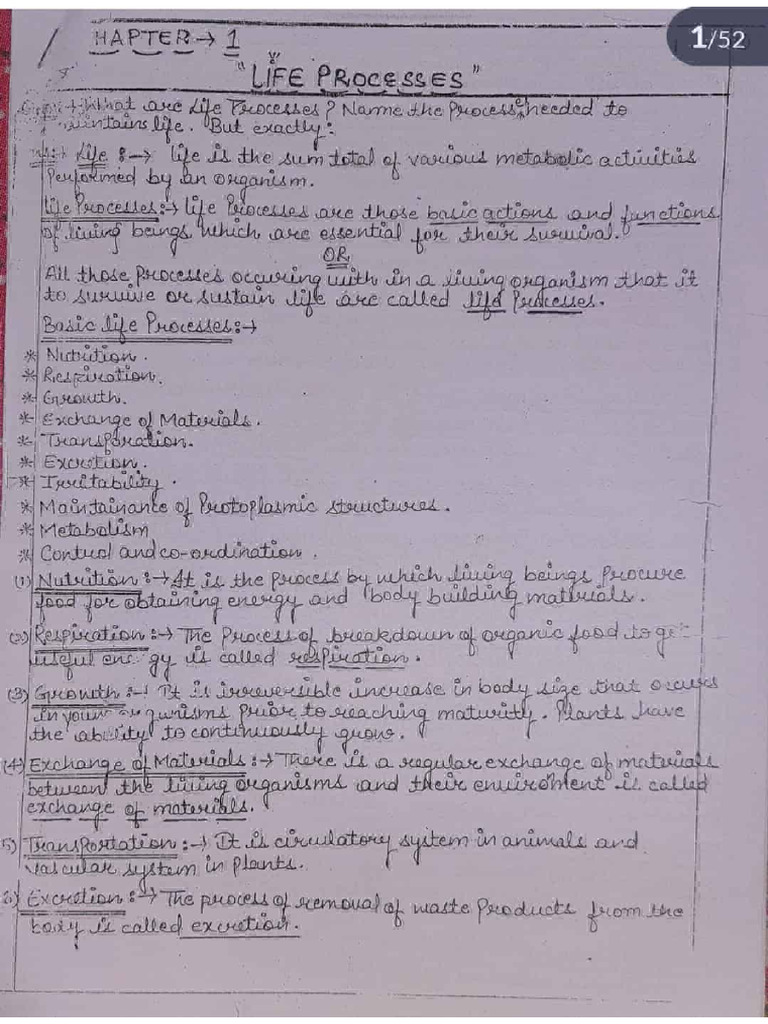 Class 10th Life Processes | PDF