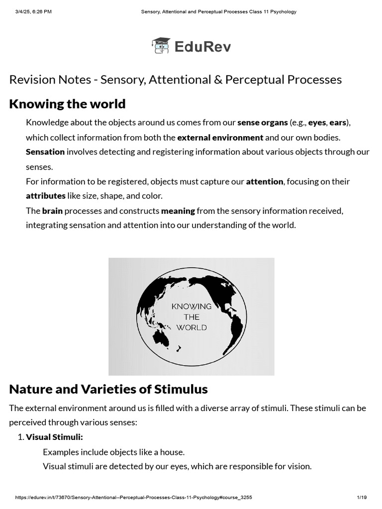 Sensory, Attentional and Perceptual Processes Class 11 Psychology | PDF ...